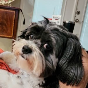 Meet your Posher, Diane